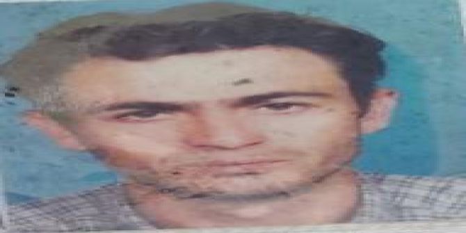 Mantar Toplamaya Gitti, Cesedi Bulundu