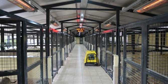 Konyaaltı Sokak Hayvanlarına Kış Uygulaması