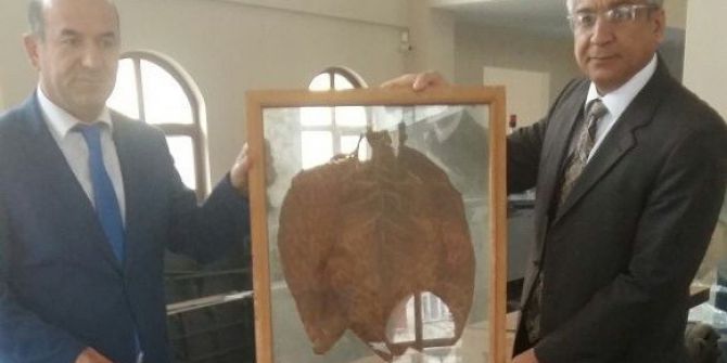 Kaymakam Kubalı, Tütün Müzesi’ni İnceledi