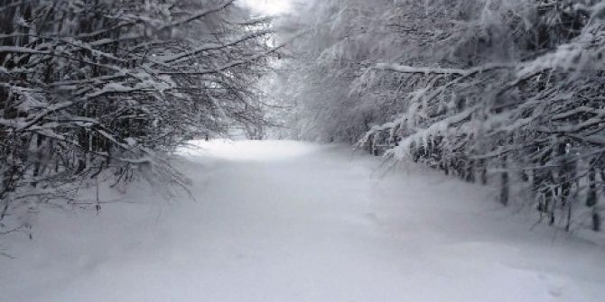 Büyükşehir Kar Mücadelesine Hazır