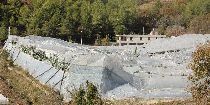 Hortum, Muz Seralarını Vurdu