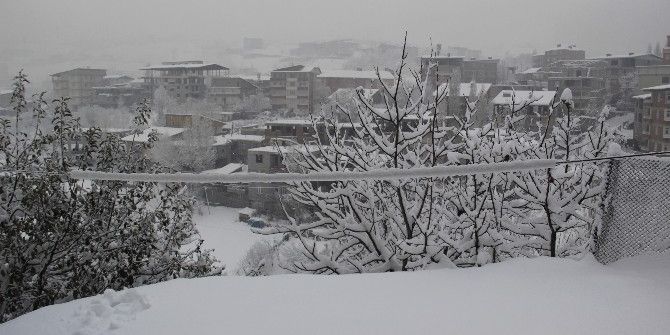 Hakkari’de Beyaz Esaret Sürüyor