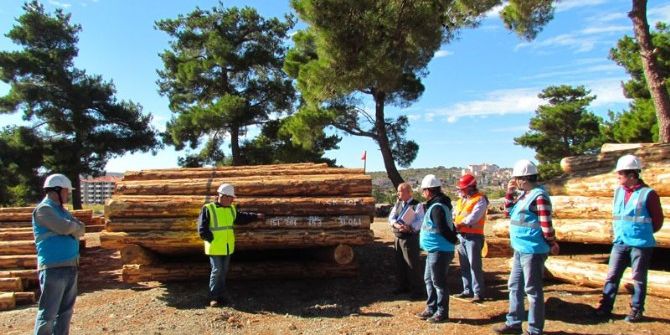 Orman Müdürlüğünde Üretim Tatbikatı Yapıldı