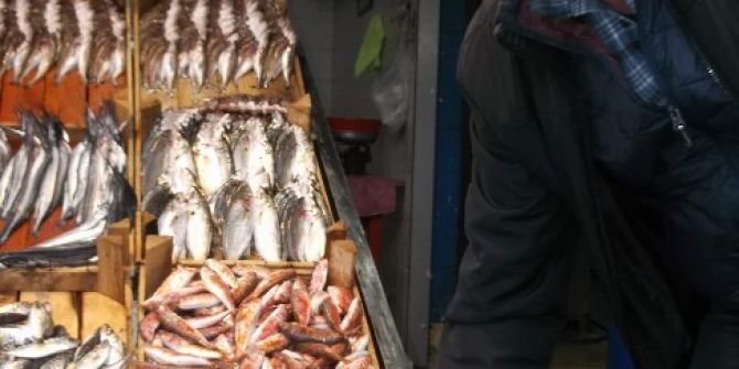 Trabzon’da Hamsinin Kilogram Fiyatı 20 Tl’ye Yükseldi