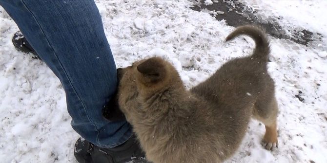 Kars’ta Kış Lastiği Uygulaması