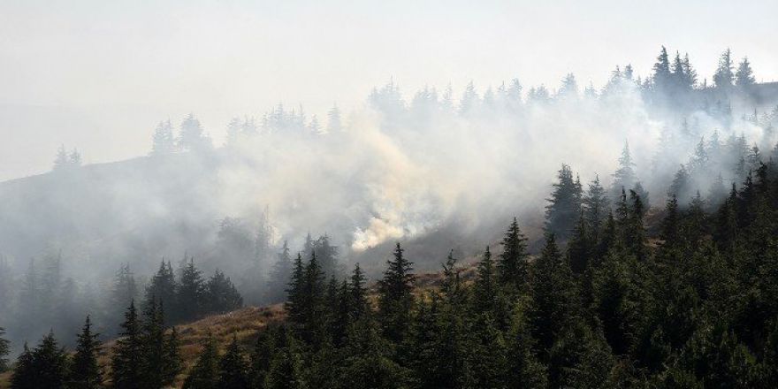 Eskişehir’de Çıkan Orman Yangını 11 Hektar Alanı Kül Etti