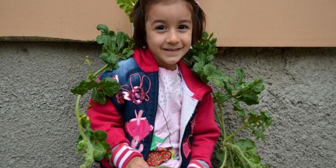 Karpuz Çiçek Açtı