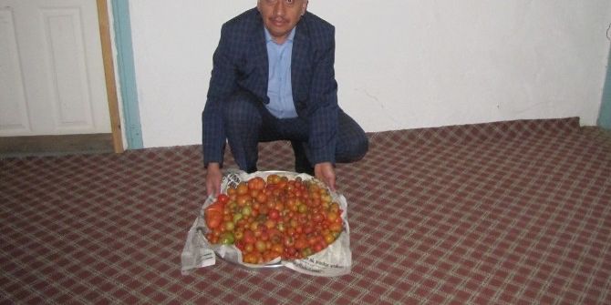 Kış Boyunca Kendi Ürettikleri Domatesleri Tüketiyorlar