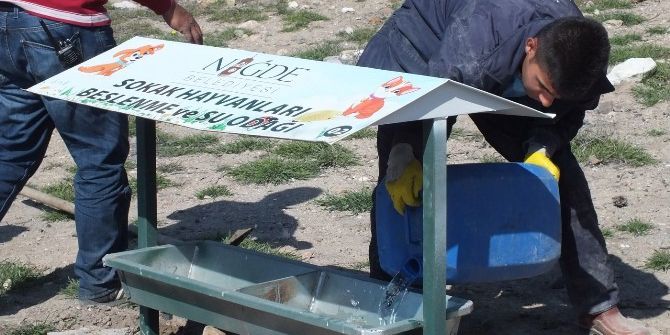 Niğde Belediyesi Sokak Hayvanlarını Unutmadı