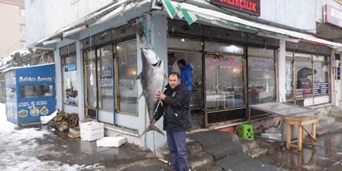 Kars’ta 45 Kiloluk Dev Orkinos!