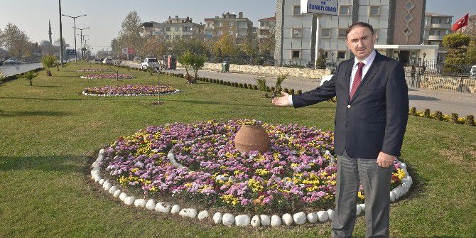 Mustafakemalpaşa’ya Kış Çiçeği