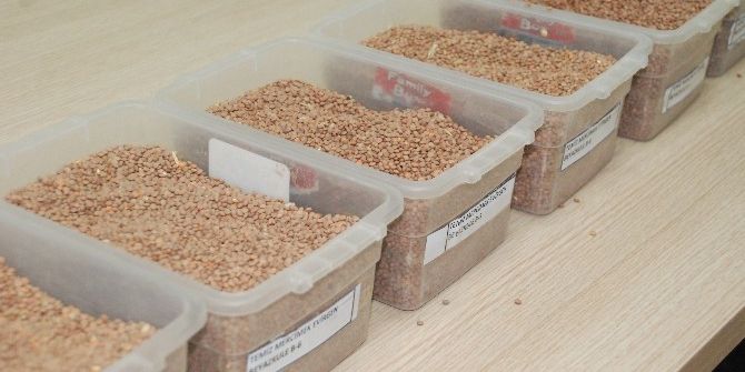 Mercimek İhalesi Yapıldı