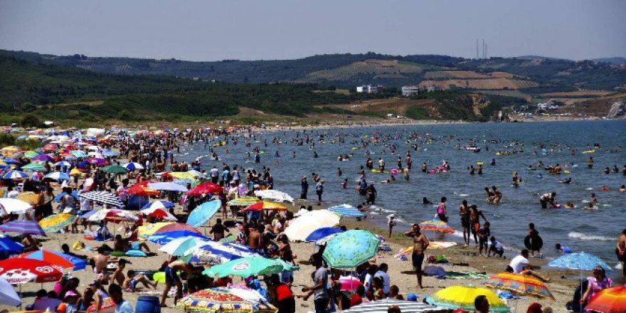 Bursa Sahilleri’nden Güzel Haber