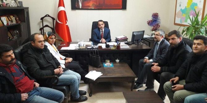 Zile’de "Sahipsiz Hayvanların Korunması" Projesi