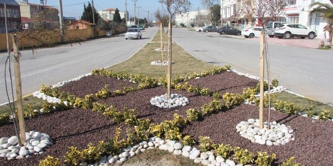 Burhaniye’de Belediye Caddeleri Çiçek Gibi Yaptı