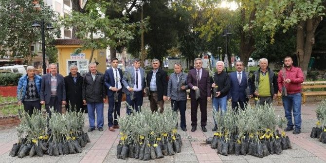 Turgutlulu Zeytin Üreticileri De Desteklendi