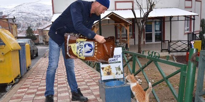 Bozüyük Belediyesi Sokak Hayvanlarının Aç Ve Susuz Kalmalarına Engel Oluyor