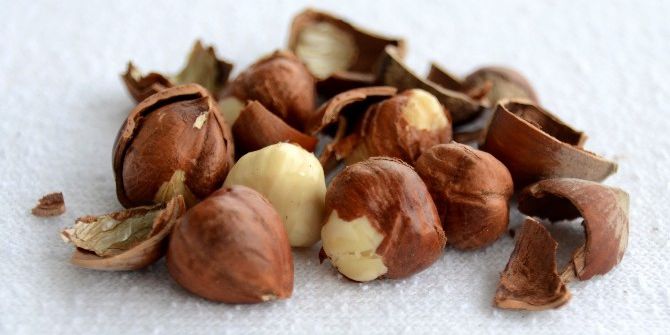 Obeziteye Karşı Bir Avuç Fındık