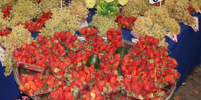 Kilosu 20 Liradan Satılan Çilek El Yakıyor