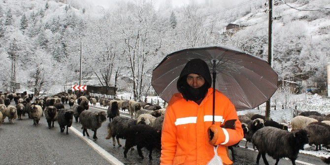 Soğuk Hava Ve Kar Yağışı Rize’nin Yüksek Kesimlerinde Etkili Oluyor