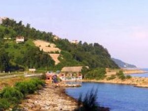 Rize Alipaşa Köyü