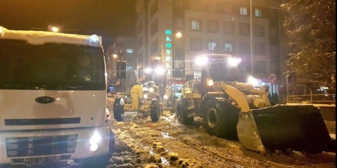 Bingöl’de Karla Mücadele Çalışması Sürüyor