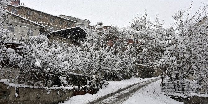 Gümüşhane’de Kar Yağışı