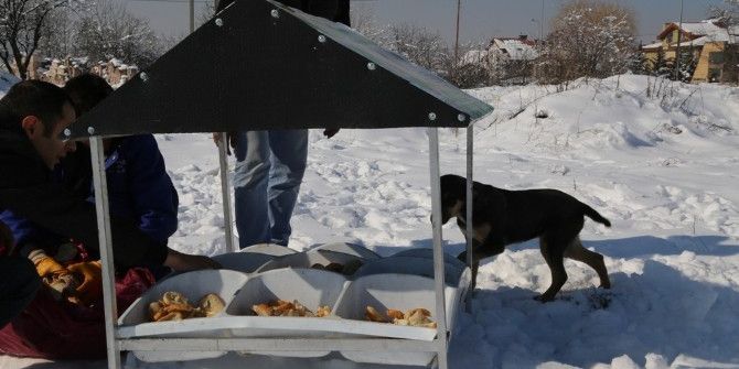 Doğa Dostu Belediye’den Hayvanlara Gıda Desteği