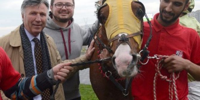 Eskişehirli Yunus Güçlü’nün Arap Tayı Yarışlarda Birinci Geldi