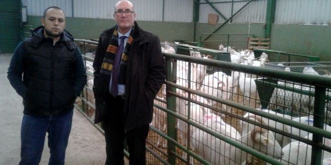 Keçi Sütü Anne Sütüne Rakip