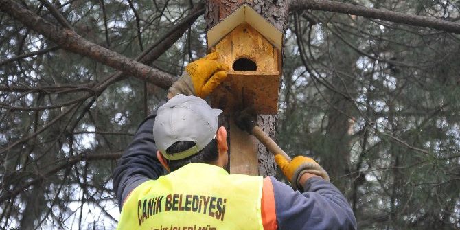 Canik’ten Kuşlara Merhamet Yuvaları
