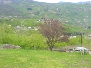 Trabzon Geçit Köyü