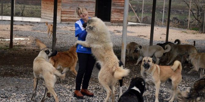 Engelli Hayvanların Yaşam Savaşı