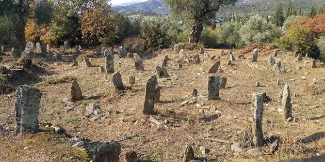 Çalılık Alan Temizlendiğinde Gözlerine İnanamadılar