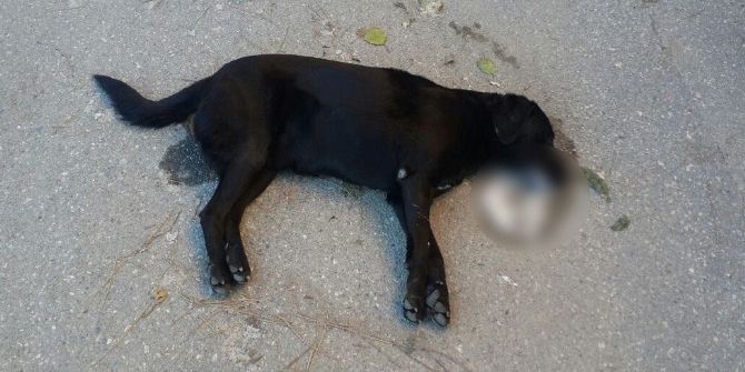 İzmir’de Vicdanları Sızlatan Olay