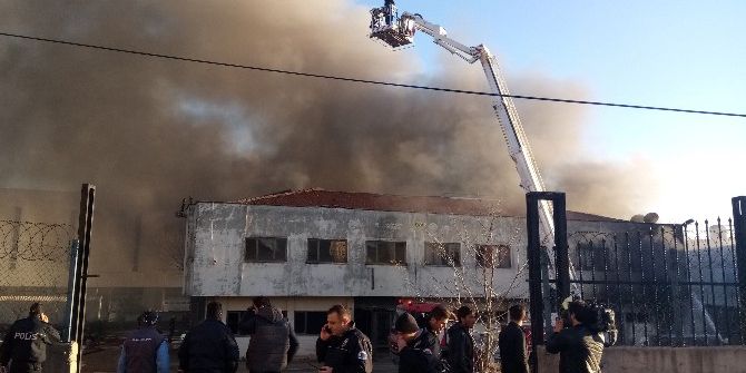 Tuzla’da Sünger Fabrikasında Yangın Çıktı
