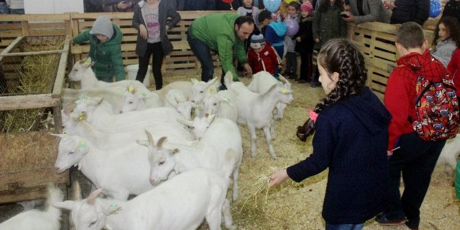 Küpesini Gören Çoban Olduğuna İnanmıyor