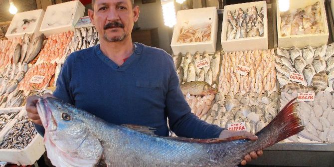 Mersinli Balıkçılardan Cumhurbaşkanı Erdoğan’ın Açıklamalarına Destek