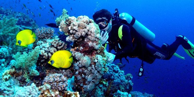 Su Altının Eşsiz Güzellikleri Bu Derste