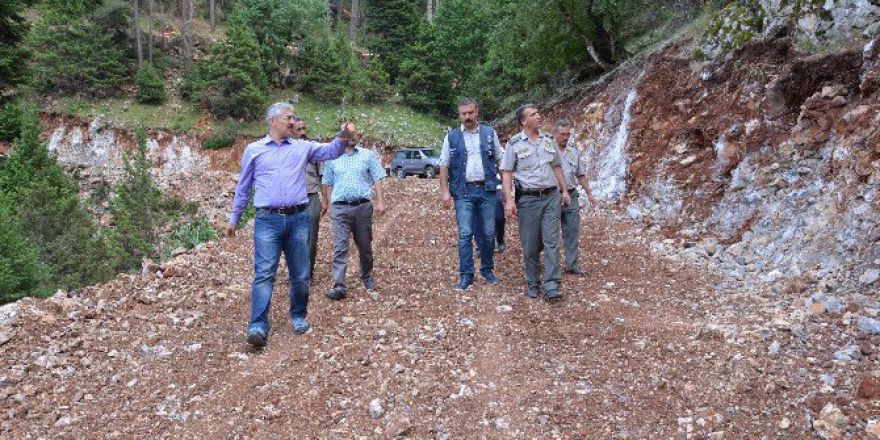 Mersin Orman Bölge Müdürlüğü, Yol Açma Çalışmalarına Devam Ediyor