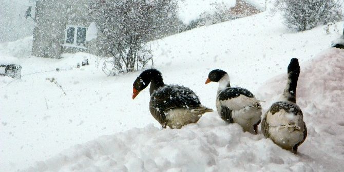 Kar Köy Yollarını Ulaşıma Kapattı
