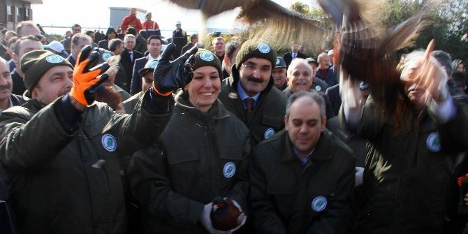 Bakan Eroğlu Ve Kılıç 200 Sülünü Doğaya Saldı