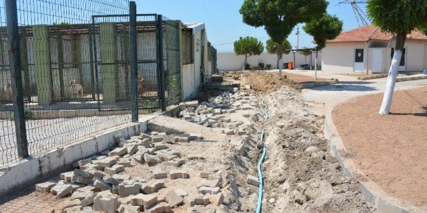 Hayvan Barınağının İçme Suyu Hatları Yenileniyor