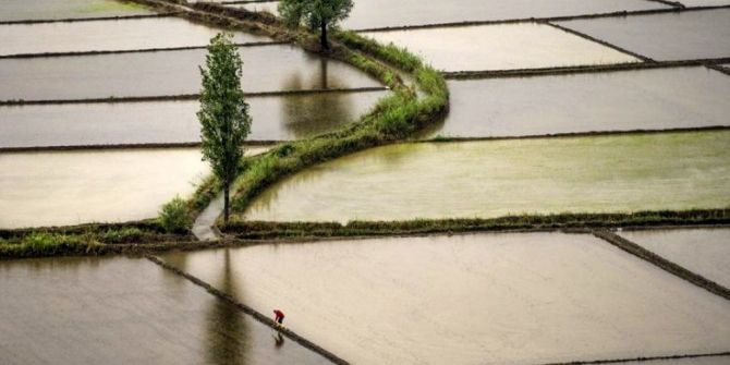 Osmancık’ta Çekilen Fotoğraflar Yarışmalarda Ödüle Doymuyor