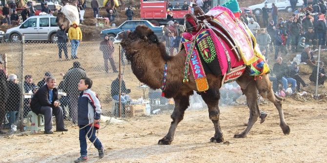 Küçük Özer’in Devesine Rakip Çıkmadı...