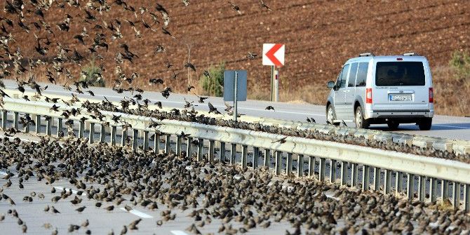 Soğuk Onları Da Vurdu, Binlercesi Kara Yolunu Kapattı...