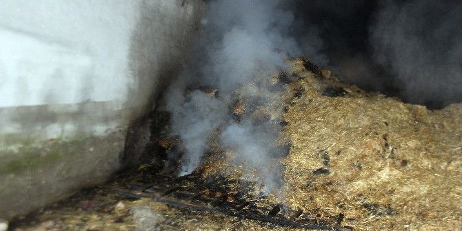 Bin 500 Saman Balyası Yanarak Kül Oldu