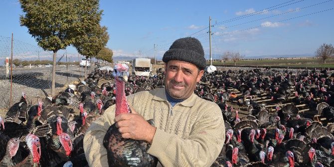 Yılbaşı Hindisi Kahramanmaraş’tan