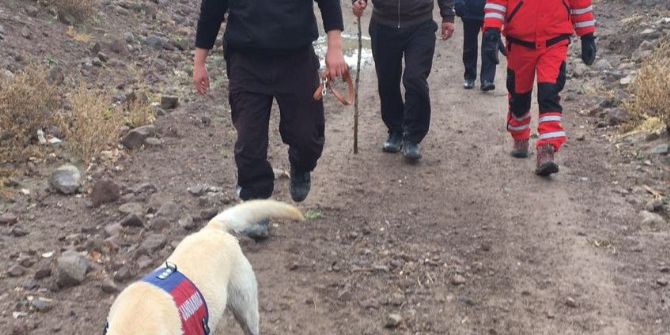 Kaybolan Zihinsel Engelli, 55 Kişilik Kurtarma Ekibiyle Aranıyor