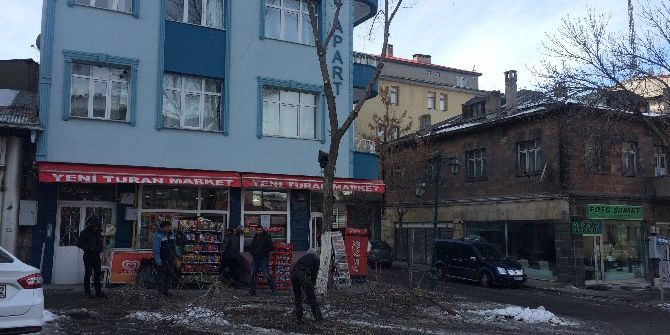 Kars’te Belediye Ağaçları Buduyor